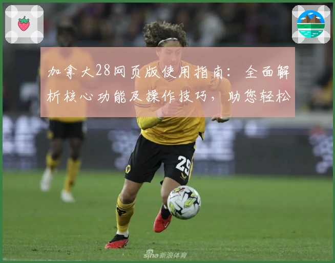 加拿大28网页版使用指南：全面解析核心功能及操作技巧，助您轻松上手平台