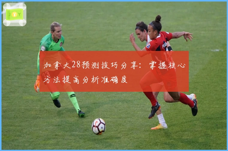 加拿大28预测技巧分享：掌握核心方法提高分析准确度