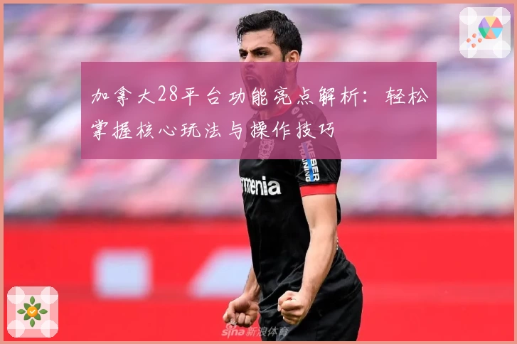 加拿大28平台功能亮点解析：轻松掌握核心玩法与操作技巧