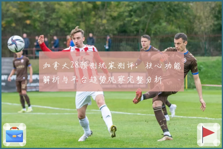 加拿大28预测玩家测评：核心功能解析与平台趋势观察完整分析