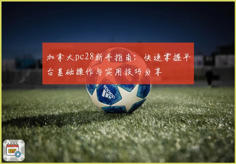 加拿大pc28新手指南：快速掌握平台基础操作与实用技巧分享