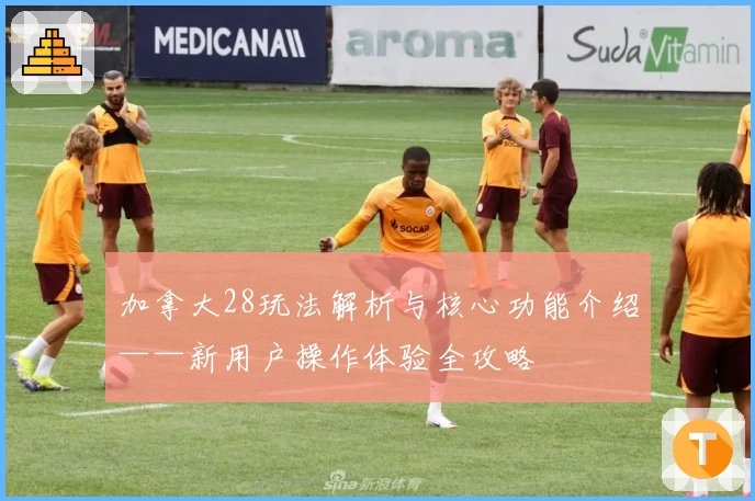 加拿大28玩法解析与核心功能介绍——新用户操作体验全攻略