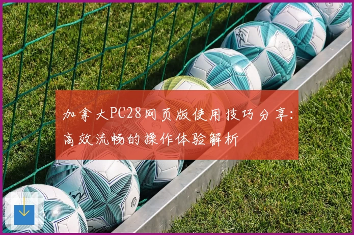 加拿大PC28网页版使用技巧分享：高效流畅的操作体验解析