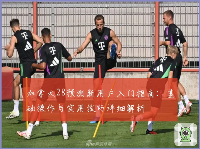 加拿大28预测新用户入门指南:基础操作与实用技巧详细解析