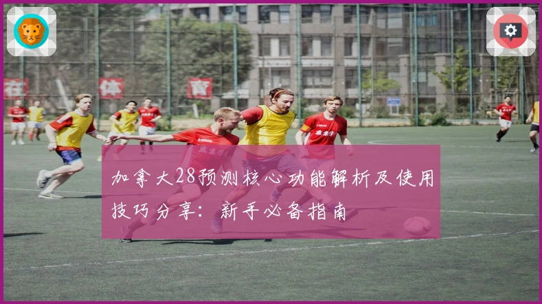 加拿大28预测核心功能解析及使用技巧分享：新手必备指南