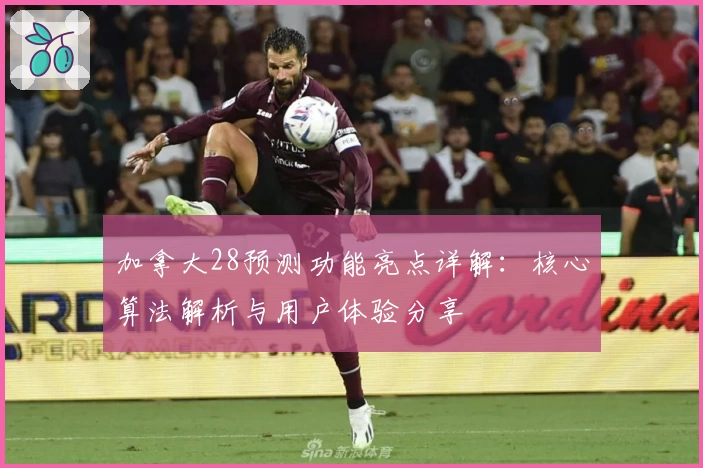 加拿大28预测功能亮点详解：核心算法解析与用户体验分享