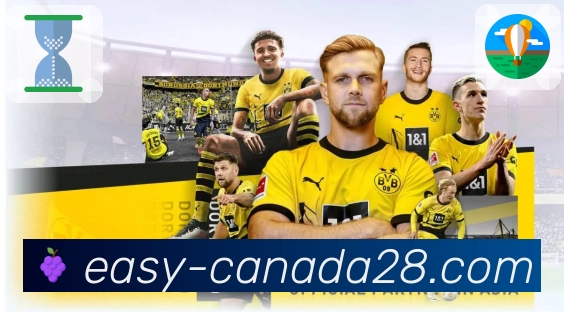 信任见证品牌荣誉